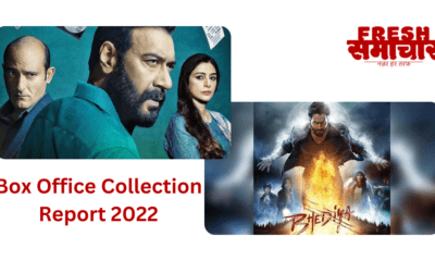 box office collection report 2022