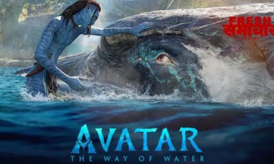 avatar 2 box office collection