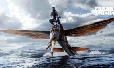 avatar box office