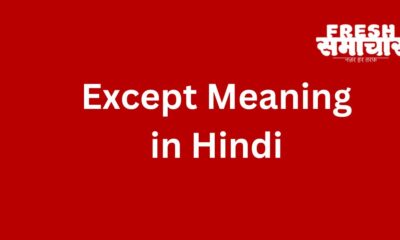 except meaning in hindi