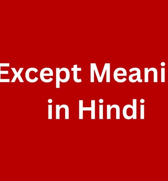 except meaning in hindi