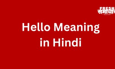 hello meaning in hindi