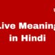 live meaning in hindi
