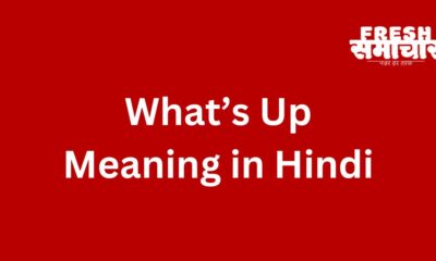 what’s up meaning in hindi