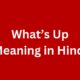 what’s up meaning in hindi