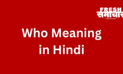 who meaning in hindi