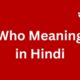 who meaning in hindi