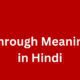 through meaning in hindi