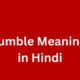 humble meaning in hindi