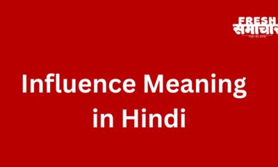 influence meaning in hindi