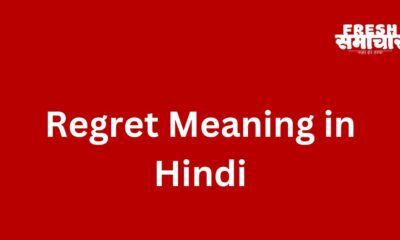 regret meaning in hindi