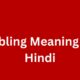 sibling meaning in hindi