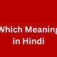 which meaning in hindi