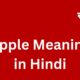 apple meaning in hindi