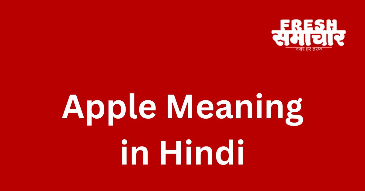 apple meaning in hindi