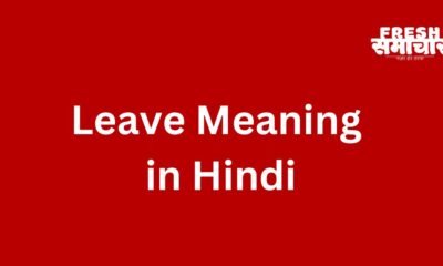 leave meaning in hindi