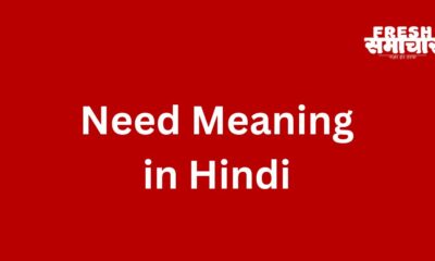 need meaning in hindi
