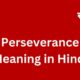 perseverance meaning in hindi