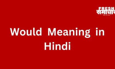 Would Meaning in Hindi