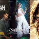 bollywood movies release date in april 2023