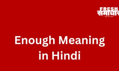 enough meaning in hindi