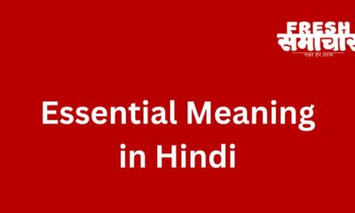 essential meaning in hindi