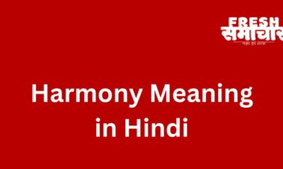 harmony meaning in hindi