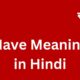 have meaning in hindi