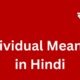 individual meaning in hindi