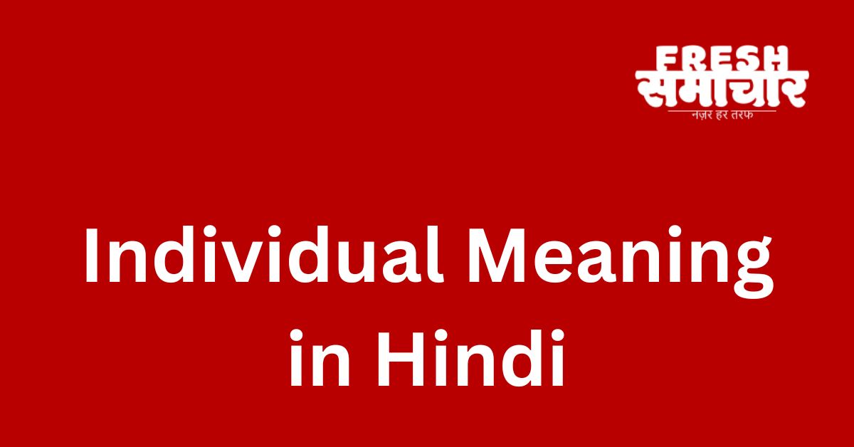 individual meaning in hindi