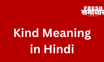 kind meaning in hindi