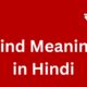 kind meaning in hindi