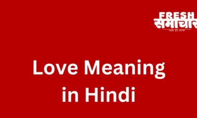 love meaning in hindi