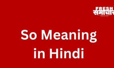 so meaning in hindi
