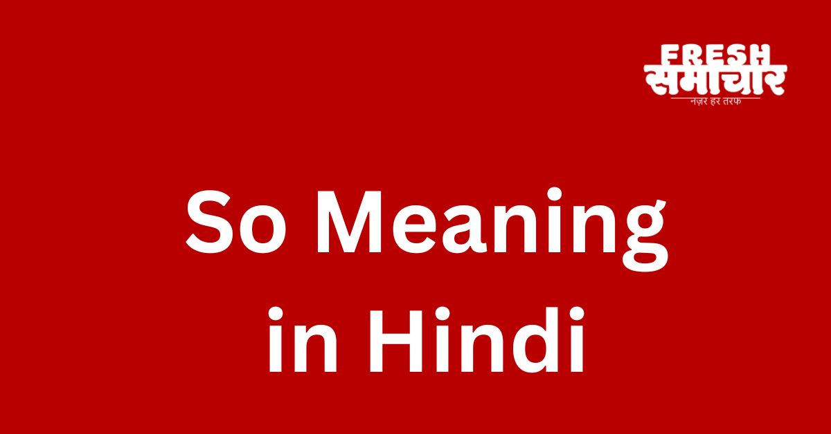 so meaning in hindi