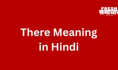 there meaning in hindi