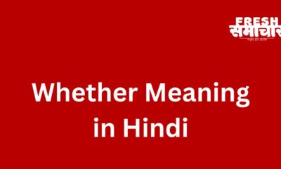 whether meaning in hindi