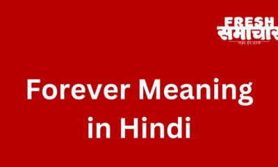 forever meaning in hindi