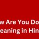 how are you doing meaning in hindi