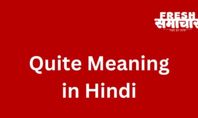 quite meaning in hindi