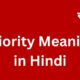 priority meaning in hindi
