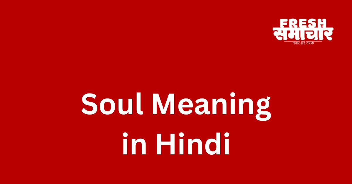 soul meaning in hindi