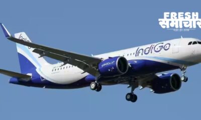 IndiGo share price