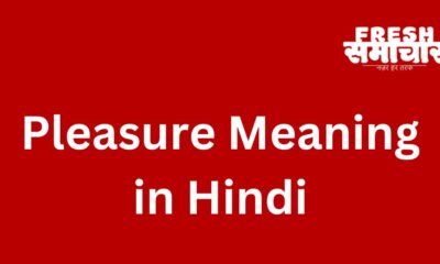 pleasure meaning in hindi