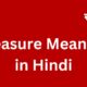 pleasure meaning in hindi