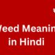 weed meaning in hindi