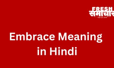 embrace meaning in hindi