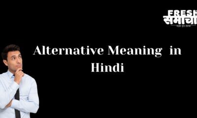 alternative meaning in hindi