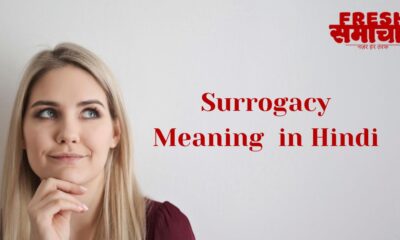 surrogacy meaning in hindi